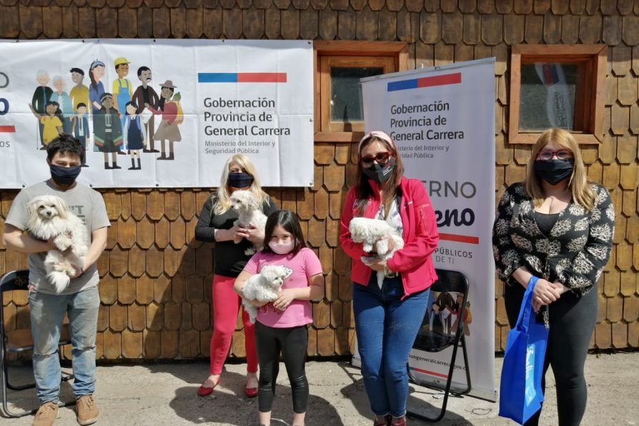 DPP de General Carrera patrocina querella por envenenamiento de perros en Chile Chico