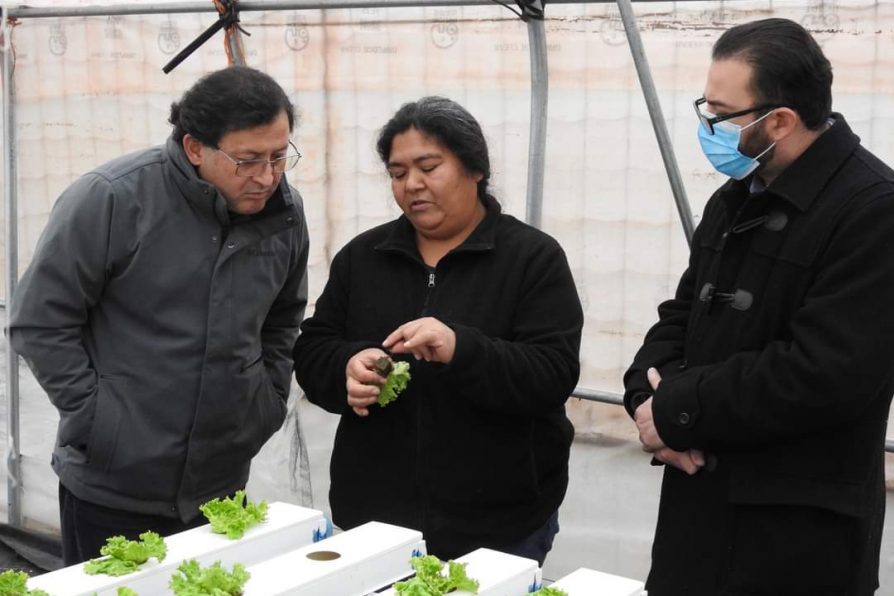 Pequeños agricultores comparten experiencias con Delegado Presidencial Regional en su visita a Chile Chico