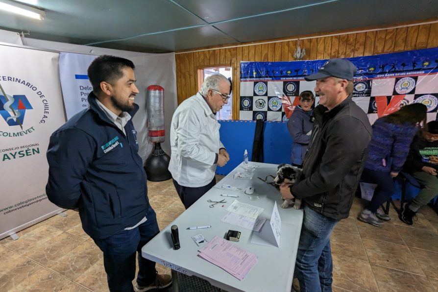 Coordinado por DPP de General Carrera se realiza operativo veterinario gratuito en Chile Chico