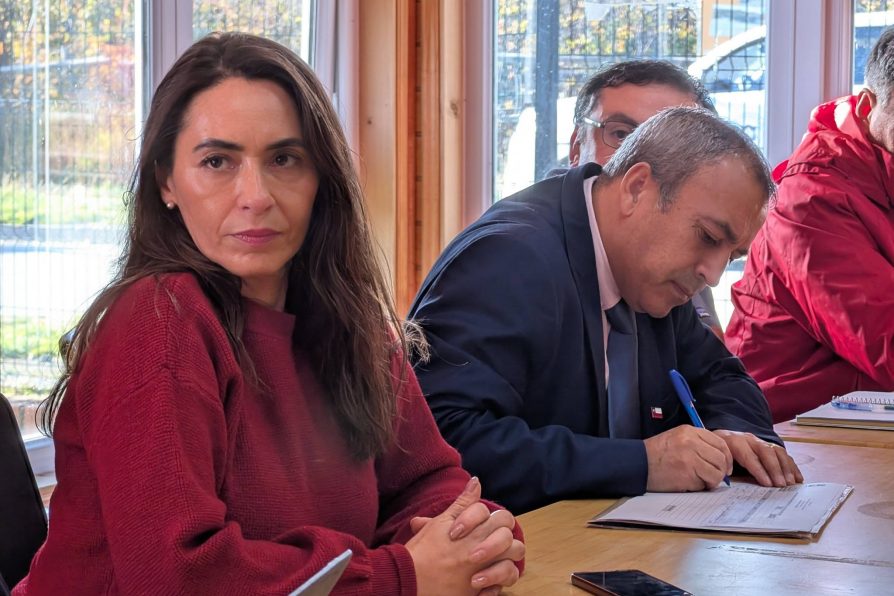 DPP destaca trabajo interinstitucional para la recuperación del turismo en glaciar Exploradores